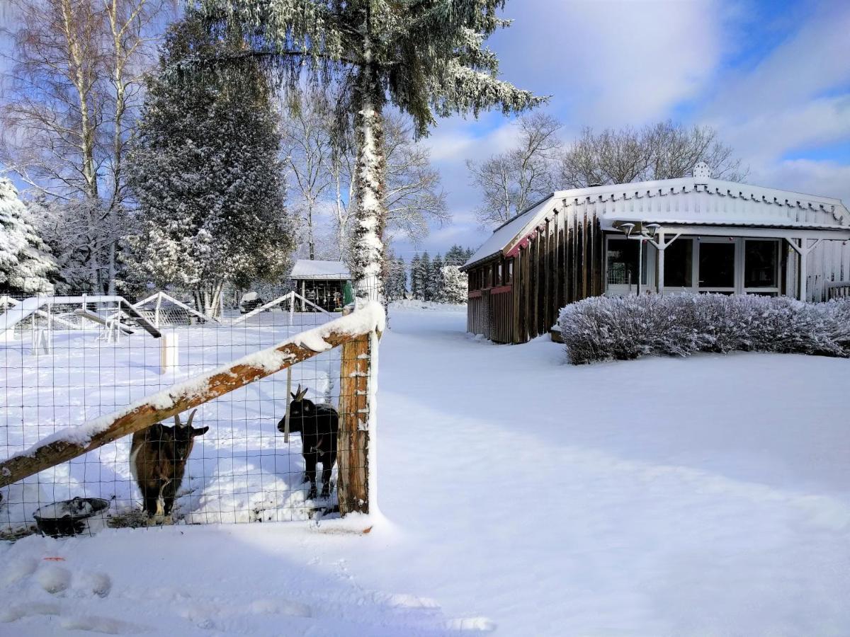Chalets Des Trois Hetres Plombieres-les-Bains Luaran gambar