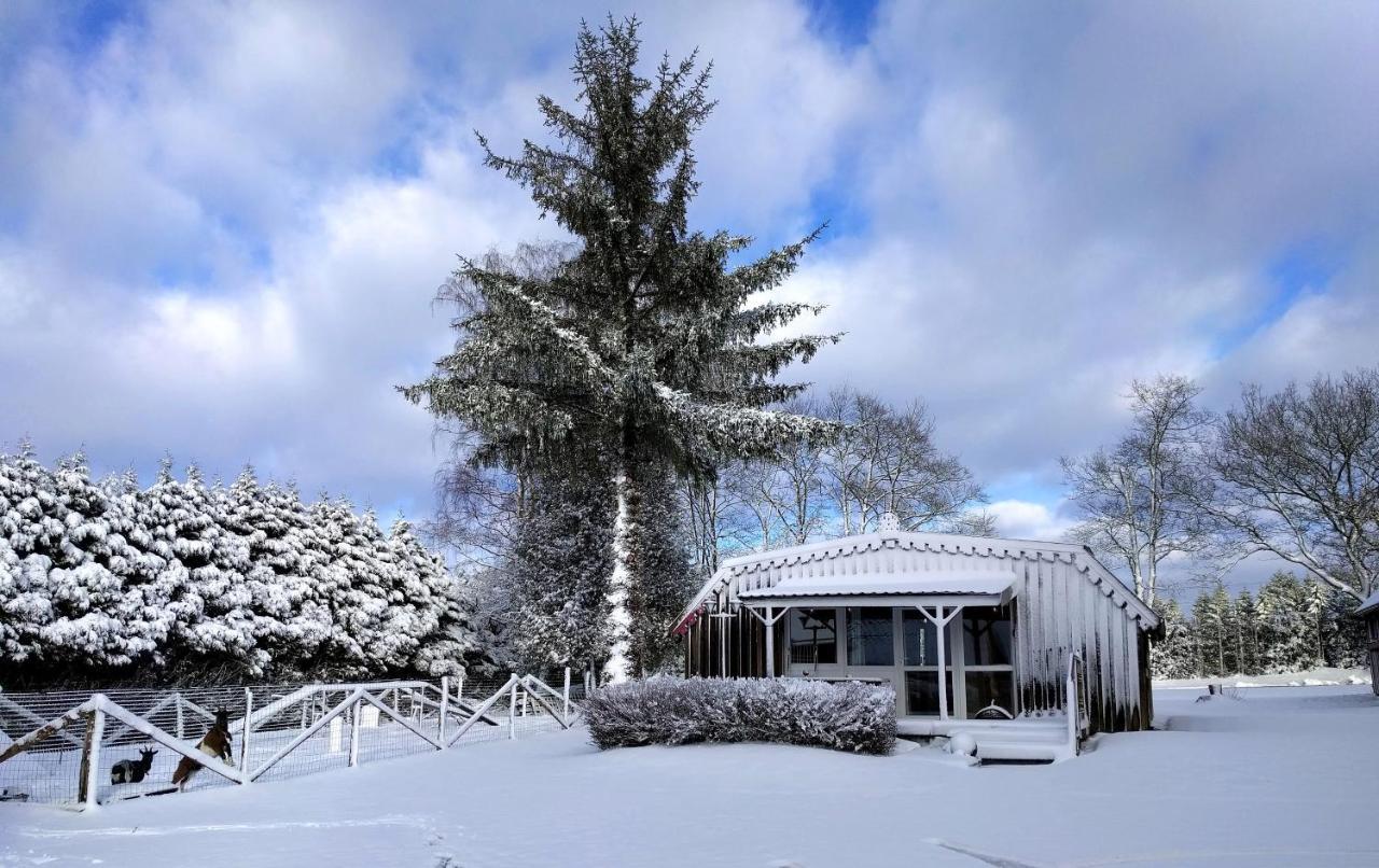 Chalets Des Trois Hetres Plombieres-les-Bains Luaran gambar